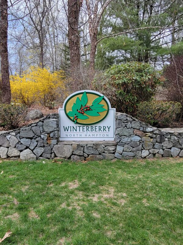 Winterberry After